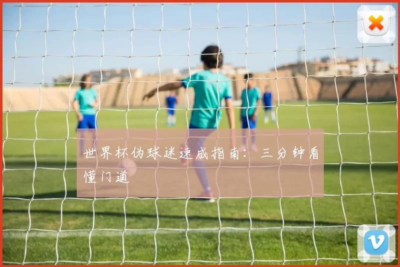世界杯伪球迷速成指南:三分钟看懂门道