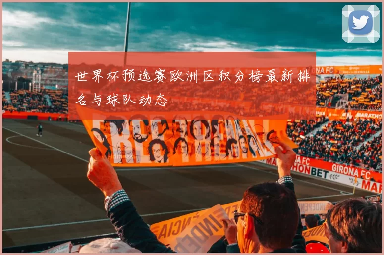 世界杯预选赛欧洲区积分榜最新排名与球队动态