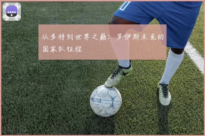 从多特到世界之巅:罗伊斯未竟的国家队征程
