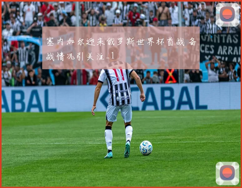 塞内加尔迎来俄罗斯世界杯首战 备战情况引关注_1