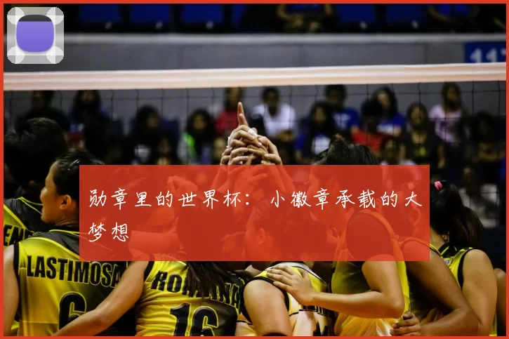 勋章里的世界杯:小徽章承载的大梦想