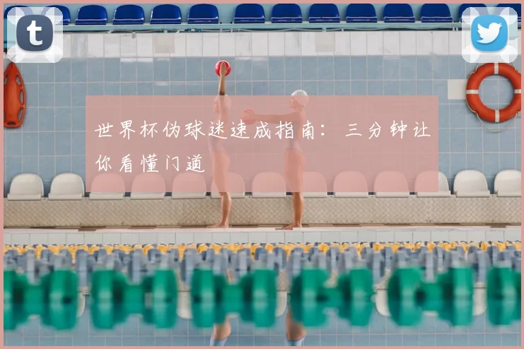 世界杯伪球迷速成指南:三分钟让你看懂门道