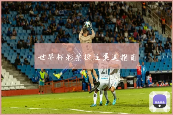 世界杯彩票投注渠道指南