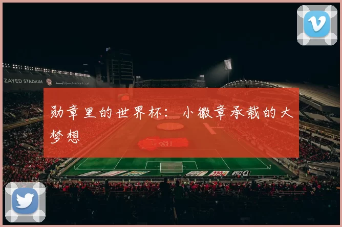 勋章里的世界杯:小徽章承载的大梦想