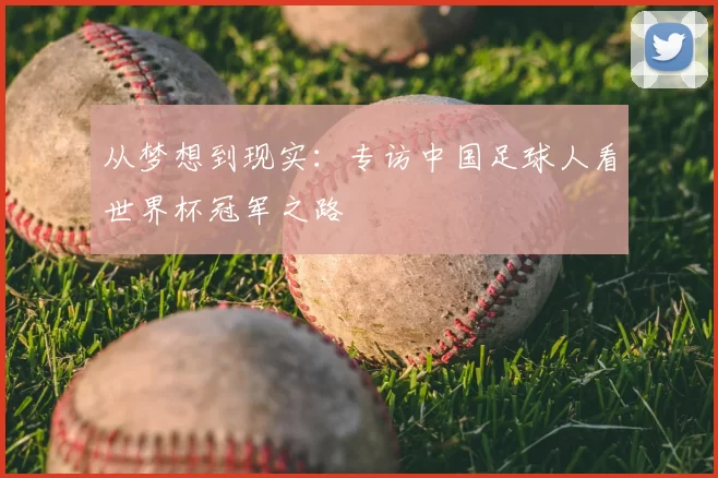 从梦想到现实:专访中国足球人看世界杯冠军之路