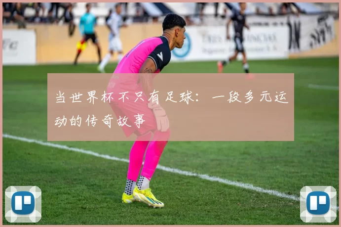 当世界杯不只有足球:一段多元运动的传奇故事
