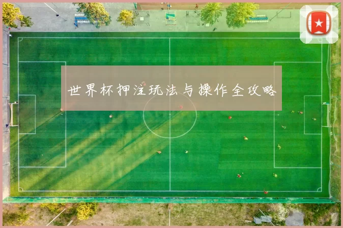 世界杯押注玩法与操作全攻略