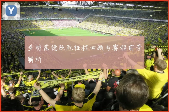 多特蒙德欧冠征程回顾与赛程前景解析