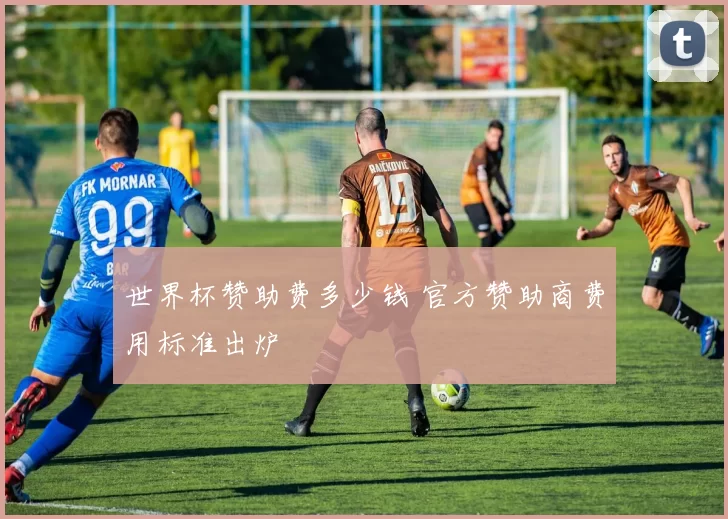 世界杯赞助费多少钱 官方赞助商费用标准出炉