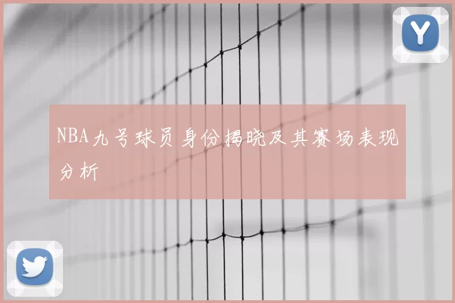 NBA九号球员身份揭晓及其赛场表现分析
