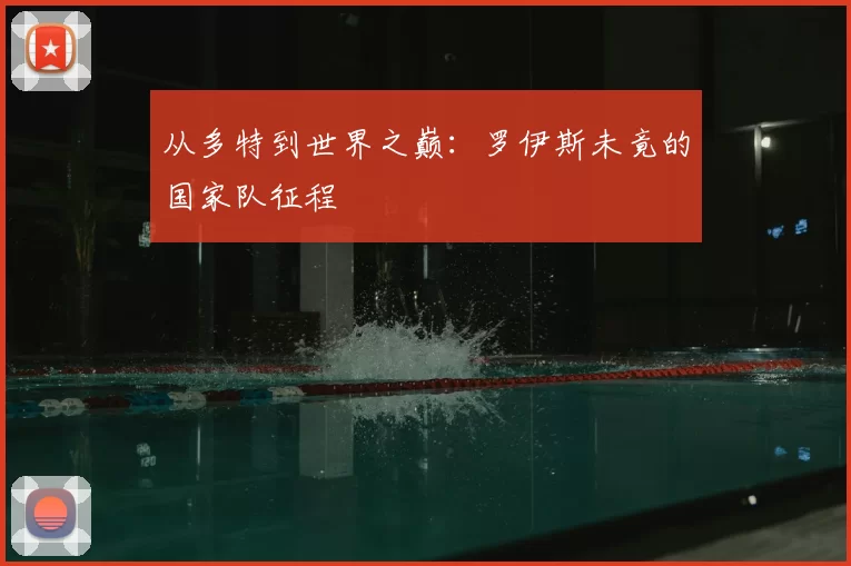 从多特到世界之巅:罗伊斯未竟的国家队征程