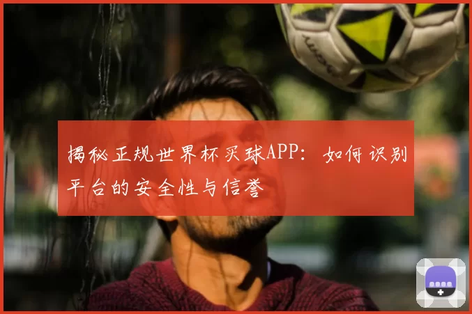 揭秘正规世界杯买球APP：如何识别平台的安全性与信誉