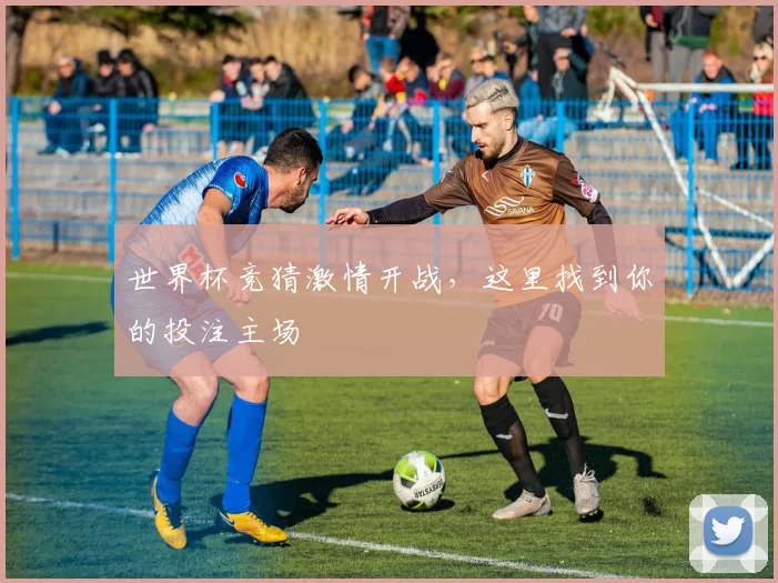 世界杯竞猜激情开战,这里找到你的投注主场