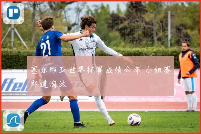 塞尔维亚世界杯赛成绩公布 小组赛即遭淘汰
