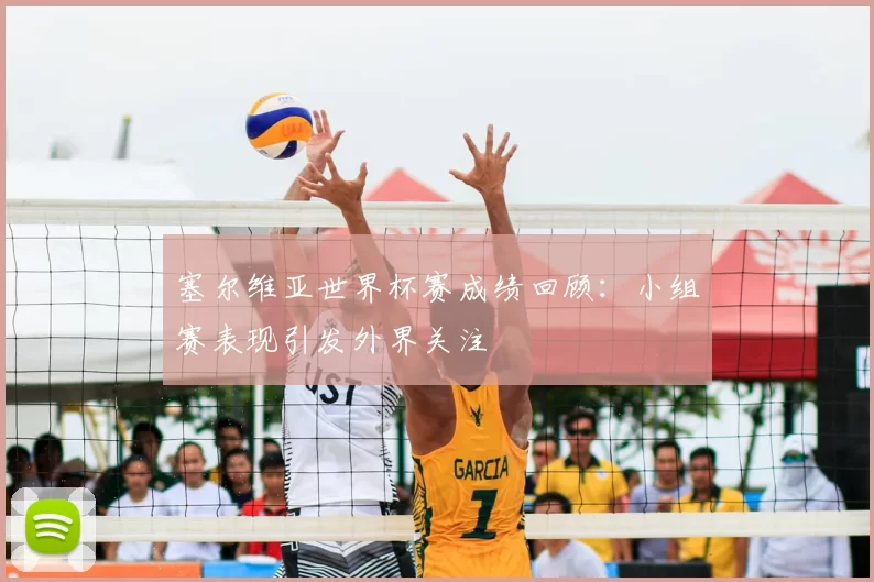 塞尔维亚世界杯赛成绩回顾:小组赛表现引发外界关注