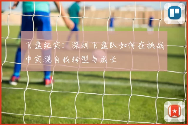 飞盘纪实:深圳飞盘队如何在挑战中实现自我转型与成长