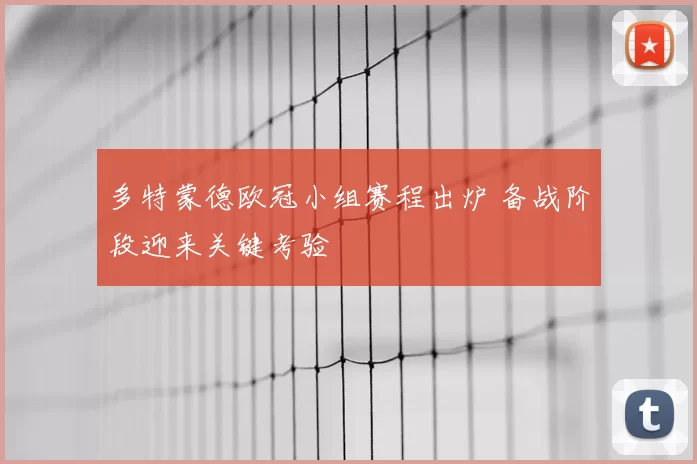 多特蒙德欧冠小组赛程出炉 备战阶段迎来关键考验