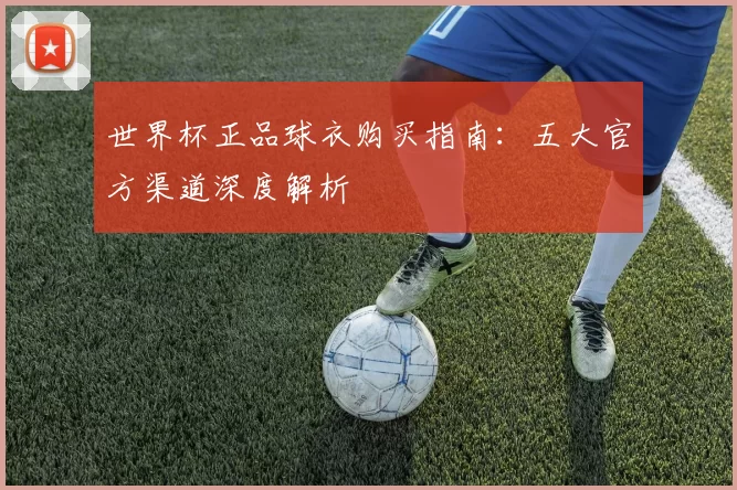 世界杯正品球衣购买指南:五大官方渠道深度解析