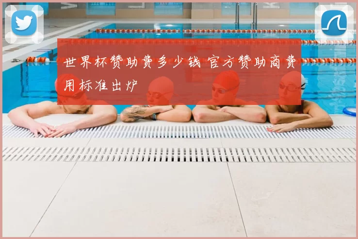 世界杯赞助费多少钱 官方赞助商费用标准出炉