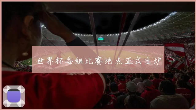 世界杯各组比赛地点正式出炉