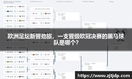 半岛bob·官方网站