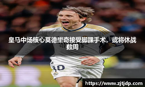 半岛bob·官方网站