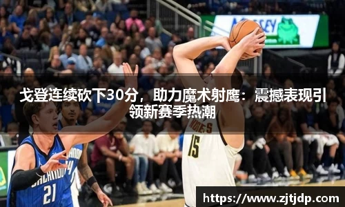 BoB半岛·体育中国官方网站