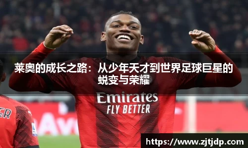 BoB半岛·体育中国官方网站